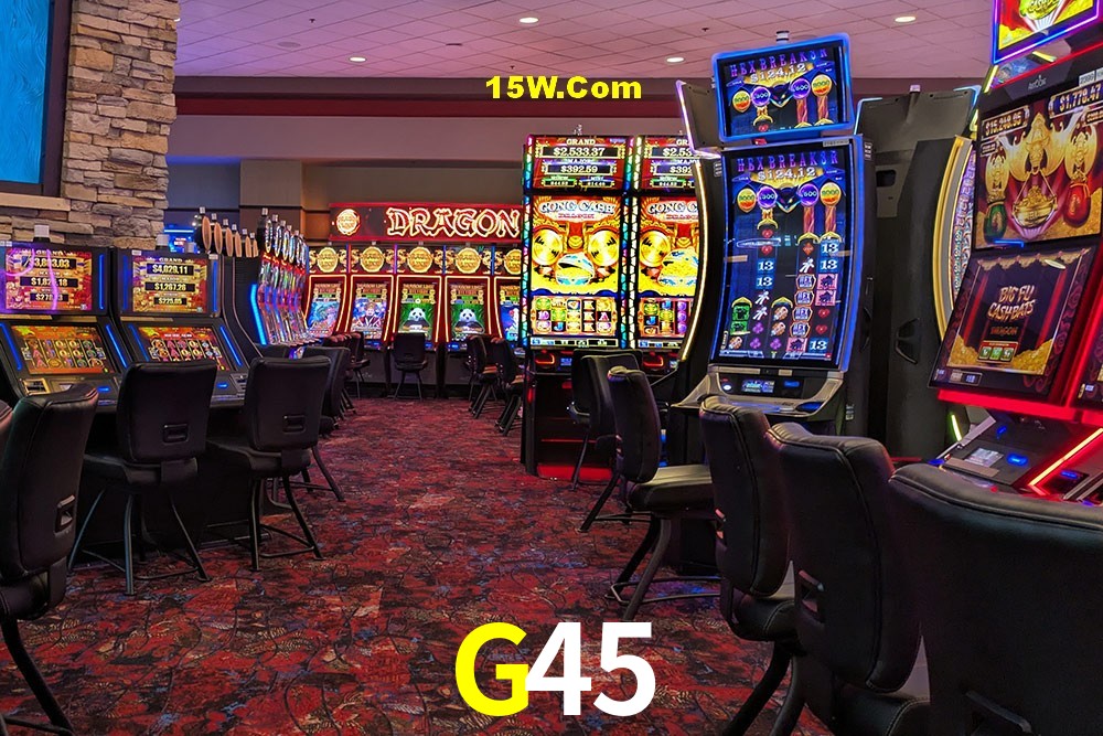 Security Systems G45